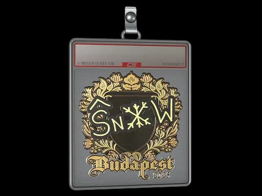 Sticker Slab | snow (Gold) | Budapest 2025