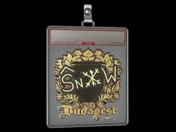 Sticker Slab | snow (Gold) | Budapest 2025