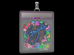 Sticker Slab | siuhy (Holo) | Budapest 2025