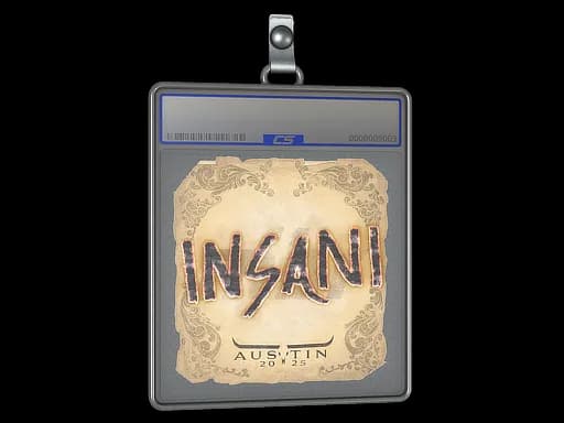 Sticker Slab | insani | Austin 2025