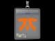 Sticker Slab | Fnatic | Paris 2023 CS2 skin