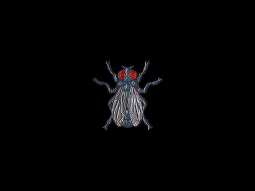 Sticker | Fruit Fly (Foil)