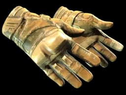 ★ Moto Gloves | Transport CS2 skin