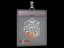 Sticker Slab | FlameZ (Holo) | Paris 2023