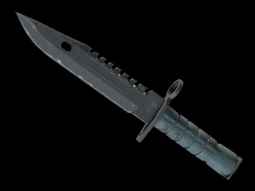 ★ M9 Bayonet | Night (Well-Worn)
