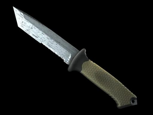 ★ StatTrak™ Ursus Knife | Damascus Steel (Well-Worn)
