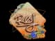 Sticker | roeJ | Rio 2022 CS2 skin