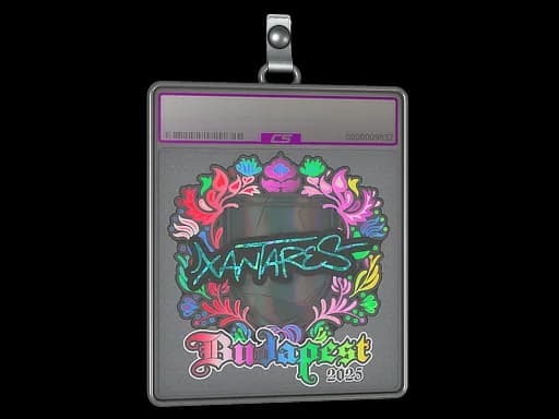 Sticker Slab | XANTARES (Holo) | Budapest 2025