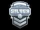 Sticker | Silver CS2 skin