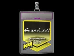 Sticker Slab | GuardiaN (Foil) | Cluj-Napoca 2015