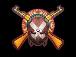 Master Guardian Elite