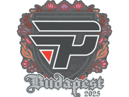 Sticker | paiN Gaming | Budapest 2025
