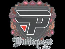 Sticker | paiN Gaming | Budapest 2025