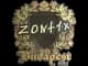 Sticker | zont1x (Gold) | Budapest 2025 CS2 skin