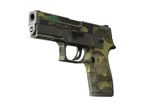 P250 | Boreal Forest (Battle-Scarred)