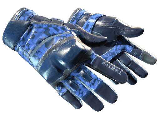 ★ Moto Gloves | Polygon (Field-Tested)