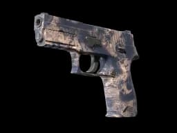 P250 | Drought CS2 skin