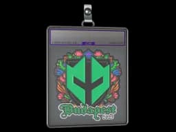 Sticker Slab | Imperial Esports (Embroidered) | Budapest 2025