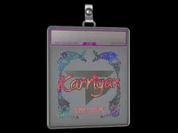 Sticker Slab | karrigan (Holo) | Austin 2025