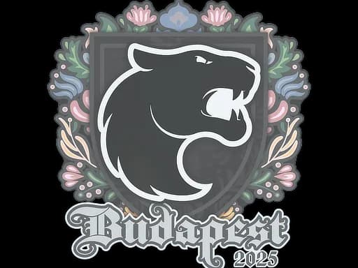 Sticker | FURIA | Budapest 2025
