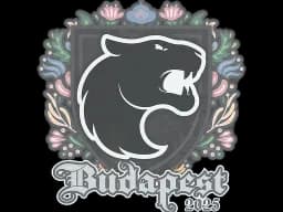 Sticker | FURIA | Budapest 2025