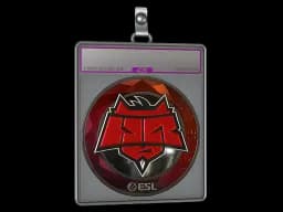 Sticker Slab | HellRaisers (Foil) | Katowice 2019