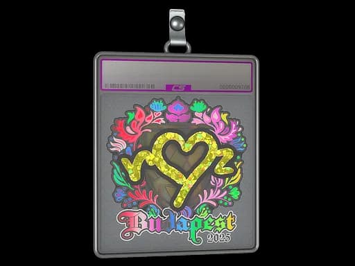 Sticker Slab | ropz (Holo) | Budapest 2025