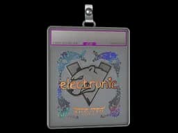 Sticker Slab | electronic (Holo) | Austin 2025