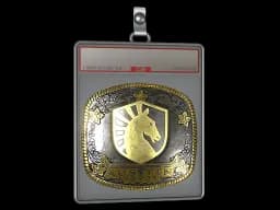 Sticker Slab | Team Liquid (Gold) | Austin 2025