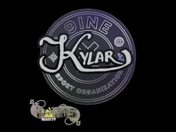 KylarParis 2023 - CS2 Skin Prices