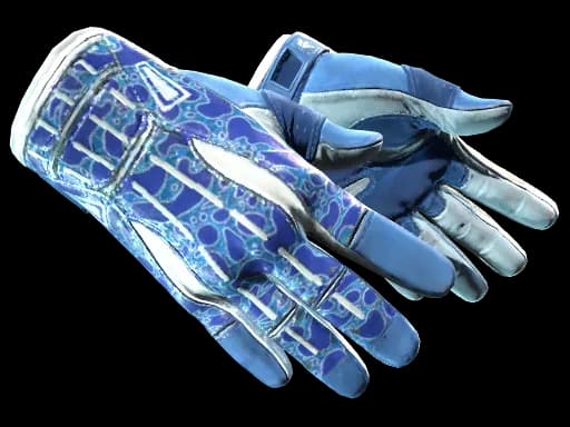 ★ Sport Gloves | Amphibious (Factory New)