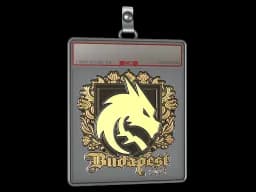 Sticker Slab | Team Spirit (Gold) | Budapest 2025