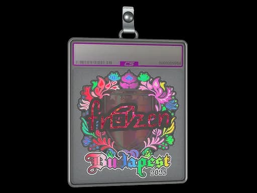 Sticker Slab | frozen (Holo) | Budapest 2025