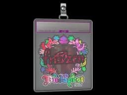 Sticker Slab | frozen (Holo) | Budapest 2025