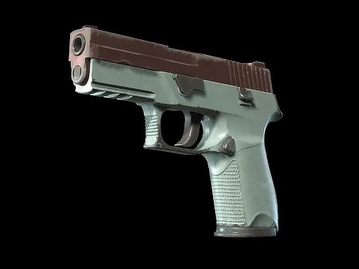 P250 | Copper Oxide (Well-Worn)