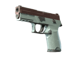P250 | Copper Oxide (Well-Worn)
