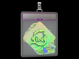 Sticker Slab | VINI (Holo) | Rio 2022