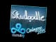 Sticker | Skadoodle | Cologne 2015 CS2 skin
