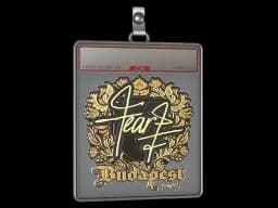 Sticker Slab | fEAR (Gold) | Budapest 2025