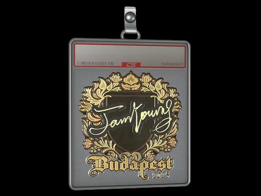 Sticker Slab | JamYoung (Gold) | Budapest 2025