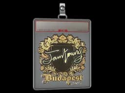 Sticker Slab | JamYoung (Gold) | Budapest 2025