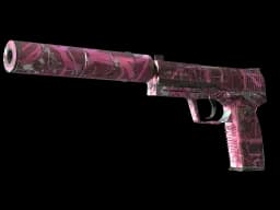 USP-S | Target Acquired CS2 skin