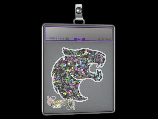 Sticker Slab | FURIA (Glitter) | Paris 2023