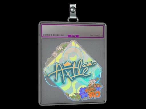 Sticker Slab | Ax1Le (Holo) | Rio 2022