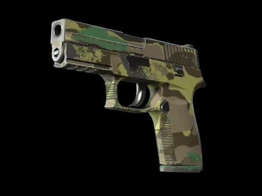 Souvenir P250 | Boreal Forest (Well-Worn)