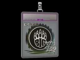 Sticker Slab | BIG (Foil) | 2020 RMR