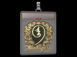 Sticker Slab | nin9 (Gold) | Budapest 2025