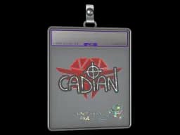 Sticker Slab | cadiaN (Glitter) | Antwerp 2022