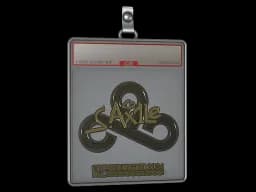 Sticker Slab | Ax1Le (Gold) | Copenhagen 2024