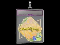 Sticker Slab | sdy (Holo) | Rio 2022